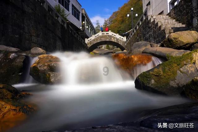 我们小能随意破坏学校里的花草树水。(改为反问句)游戏画面